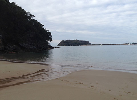 Resolute Beach